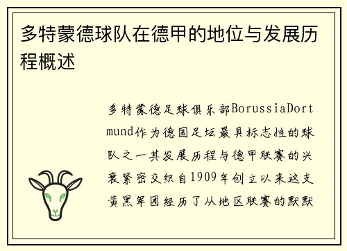 多特蒙德球队在德甲的地位与发展历程概述