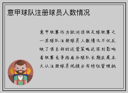 意甲球队注册球员人数情况