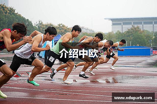 介绍中欧